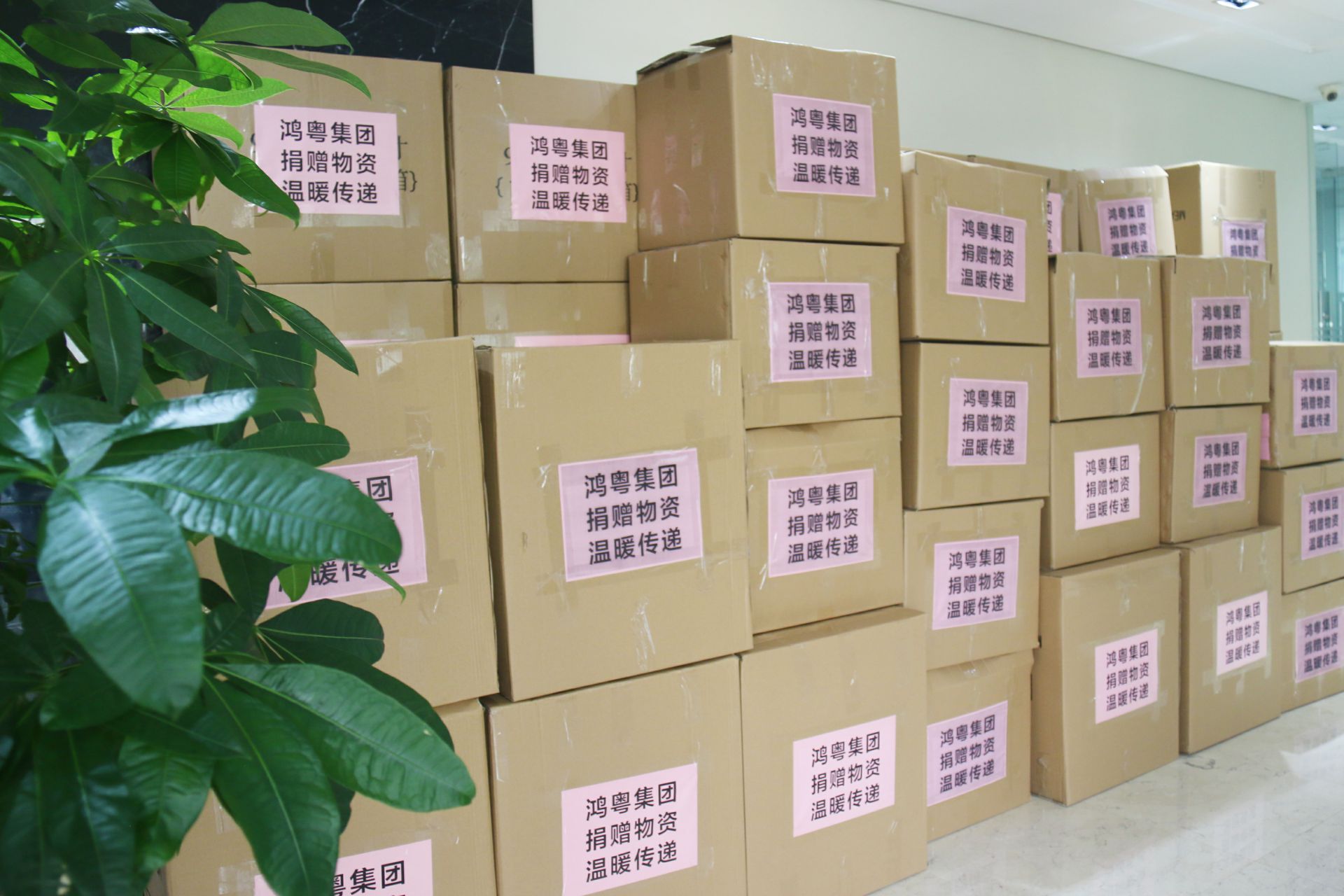 上海鞠豪知识产权咨询有限公司公益回顾丨家国同欢月同圆 温暖满载甘孜州(图1)